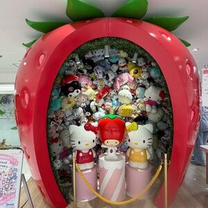 Meet your Posher, Mandy